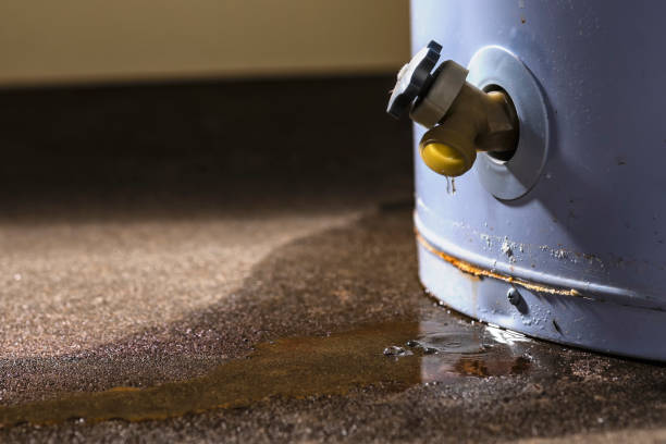 Best Residential water damage restoration  in Decatur, MI