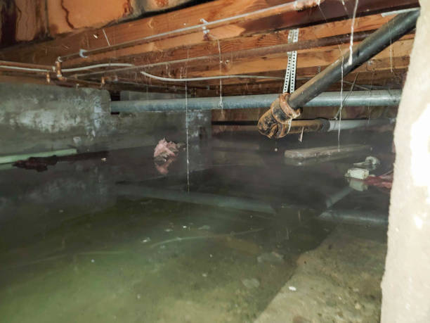 Best Emergency water damage restoration  in Decatur, MI