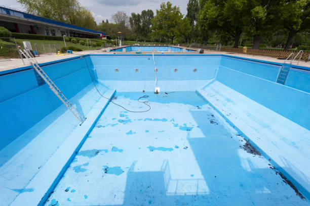Best Professional water damage repair  in Decatur, MI