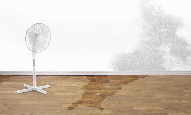 Best Flood damage cleanup  in Decatur, MI