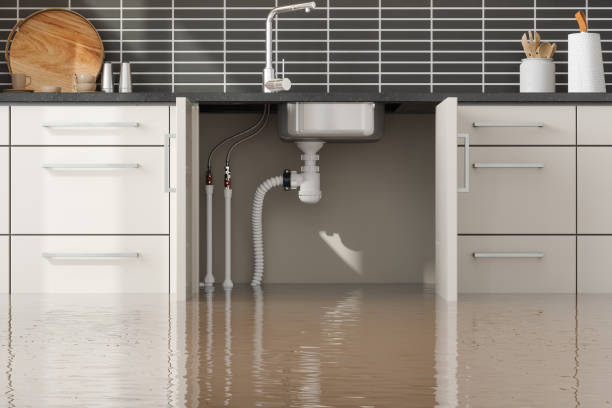 Best Commercial water damage restoration  in Decatur, MI